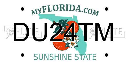 DU24TM Florida License Plate