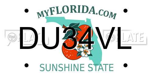 DU34VL Florida License Plate