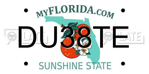 DU38TE Florida License Plate