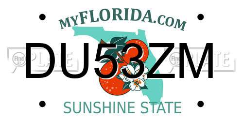 DU53ZM Florida License Plate