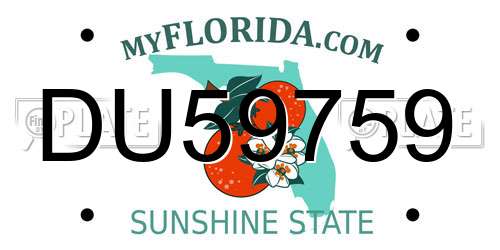 DU59759 Florida License Plate