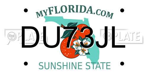 DU73JL Florida License Plate