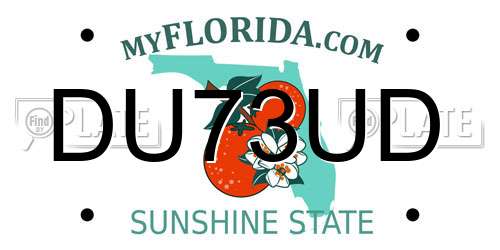 DU73UD Florida License Plate