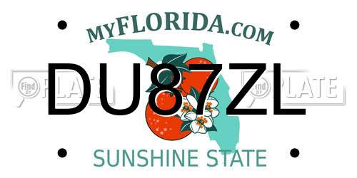 DU87ZL Florida License Plate
