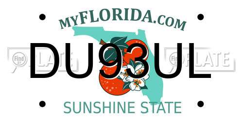 DU93UL Florida License Plate