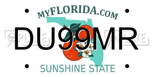 DU99MR Florida License Plate