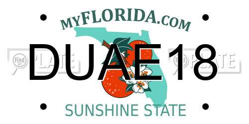 DUAE18 Florida License Plate