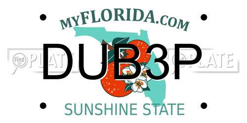 DUB3P Florida License Plate