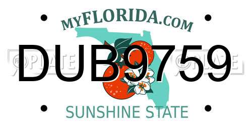 DUB9759 Florida License Plate