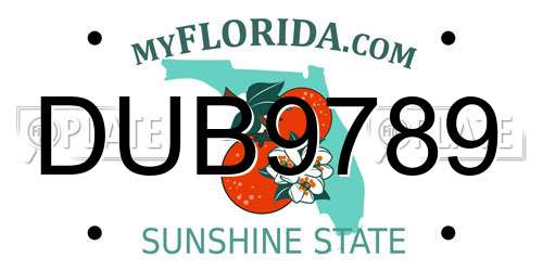 DUB9789 Florida License Plate