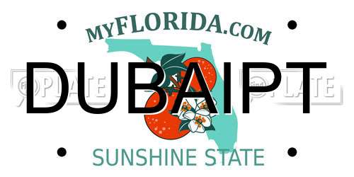 DUBAIPT Florida License Plate