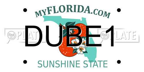 DUBE1 Florida License Plate