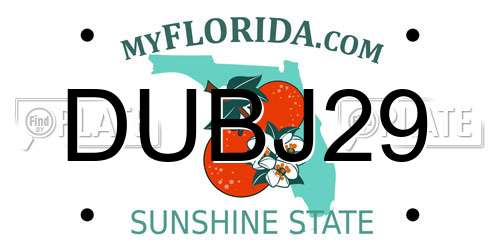 DUBJ29 Florida License Plate