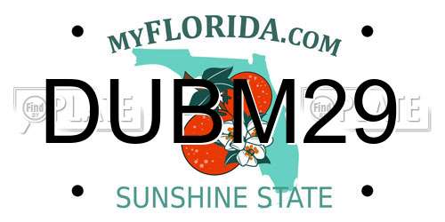 DUBM29 Florida License Plate