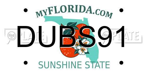 DUBS91 Florida License Plate