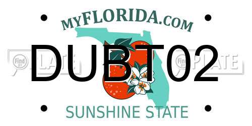 DUBT02 Florida License Plate