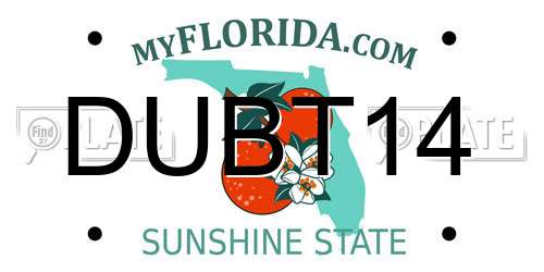 DUBT14 Florida License Plate