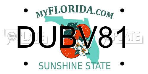 DUBV81 Florida License Plate