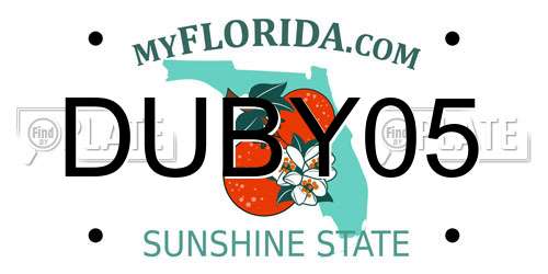 DUBY05 Florida License Plate