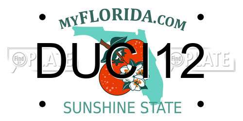 DUCI12 Florida License Plate