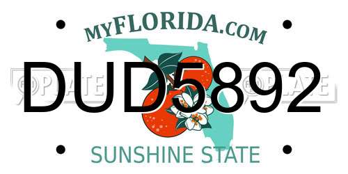 DUD5892 Florida License Plate