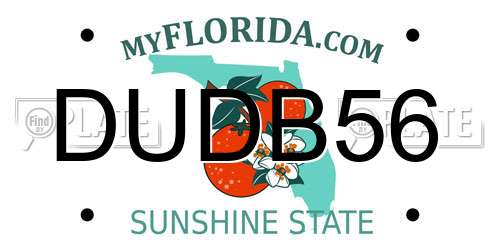 DUDB56 Florida License Plate