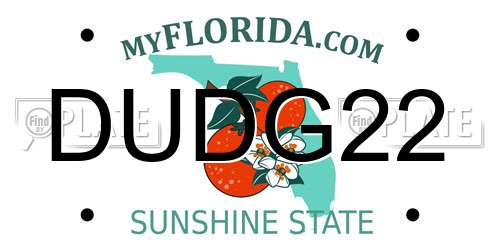 DUDG22 Florida License Plate