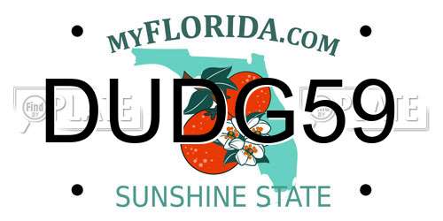 DUDG59 Florida License Plate