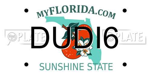 DUDI6 Florida License Plate