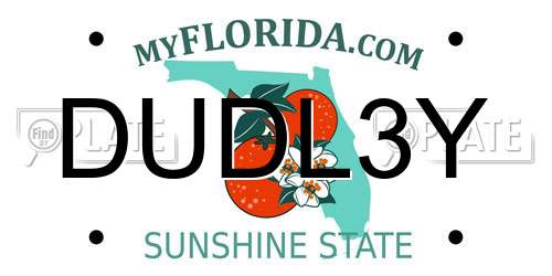 DUDL3Y Florida License Plate