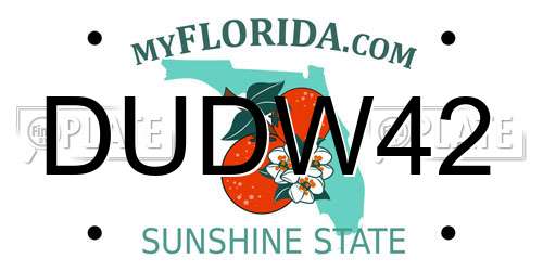 DUDW42 Florida License Plate