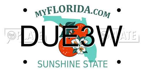 DUE3W Florida License Plate