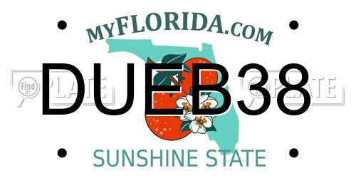 DUEB38 Florida License Plate