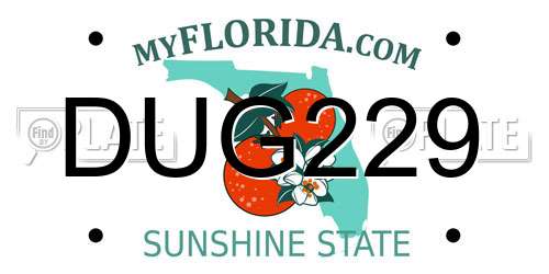 DUG229 Florida License Plate