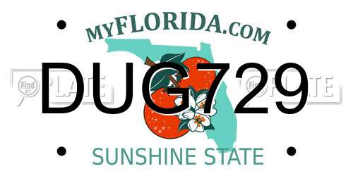 DUG729 Florida License Plate