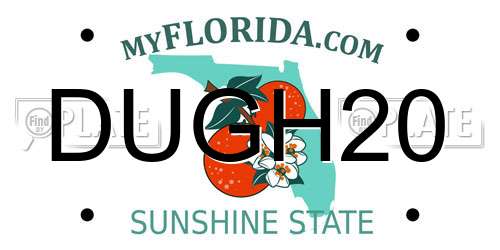 DUGH20 Florida License Plate
