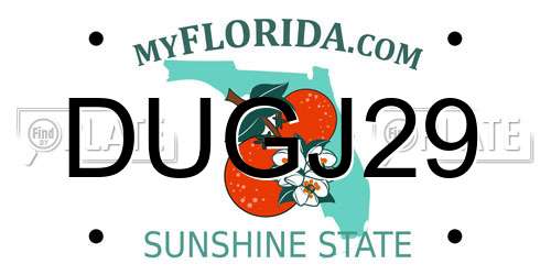 DUGJ29 Florida License Plate