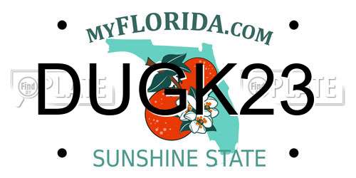 DUGK23 Florida License Plate