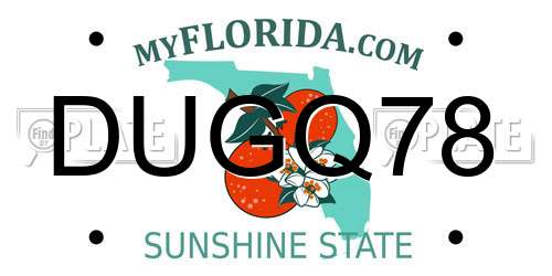 DUGQ78 Florida License Plate