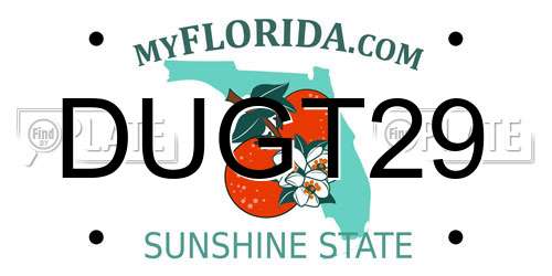 DUGT29 Florida License Plate