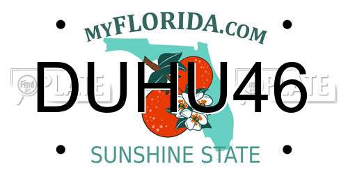 DUHU46 Florida License Plate