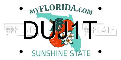 DUJ1T Florida License Plate