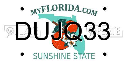 DUJQ33 Florida License Plate