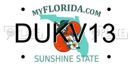 DUKV13 Florida License Plate