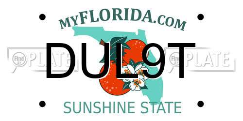 DUL9T Florida License Plate