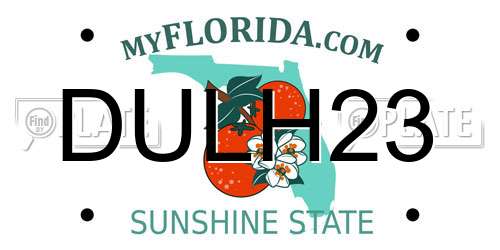DULH23 Florida License Plate