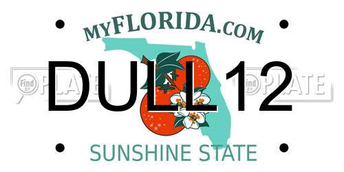 DULL12 Florida License Plate