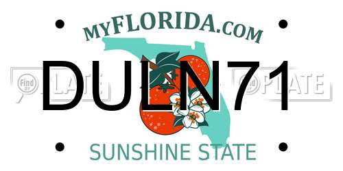 DULN71 Florida License Plate