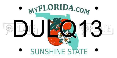 DULQ13 Florida License Plate