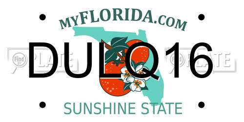 DULQ16 Florida License Plate